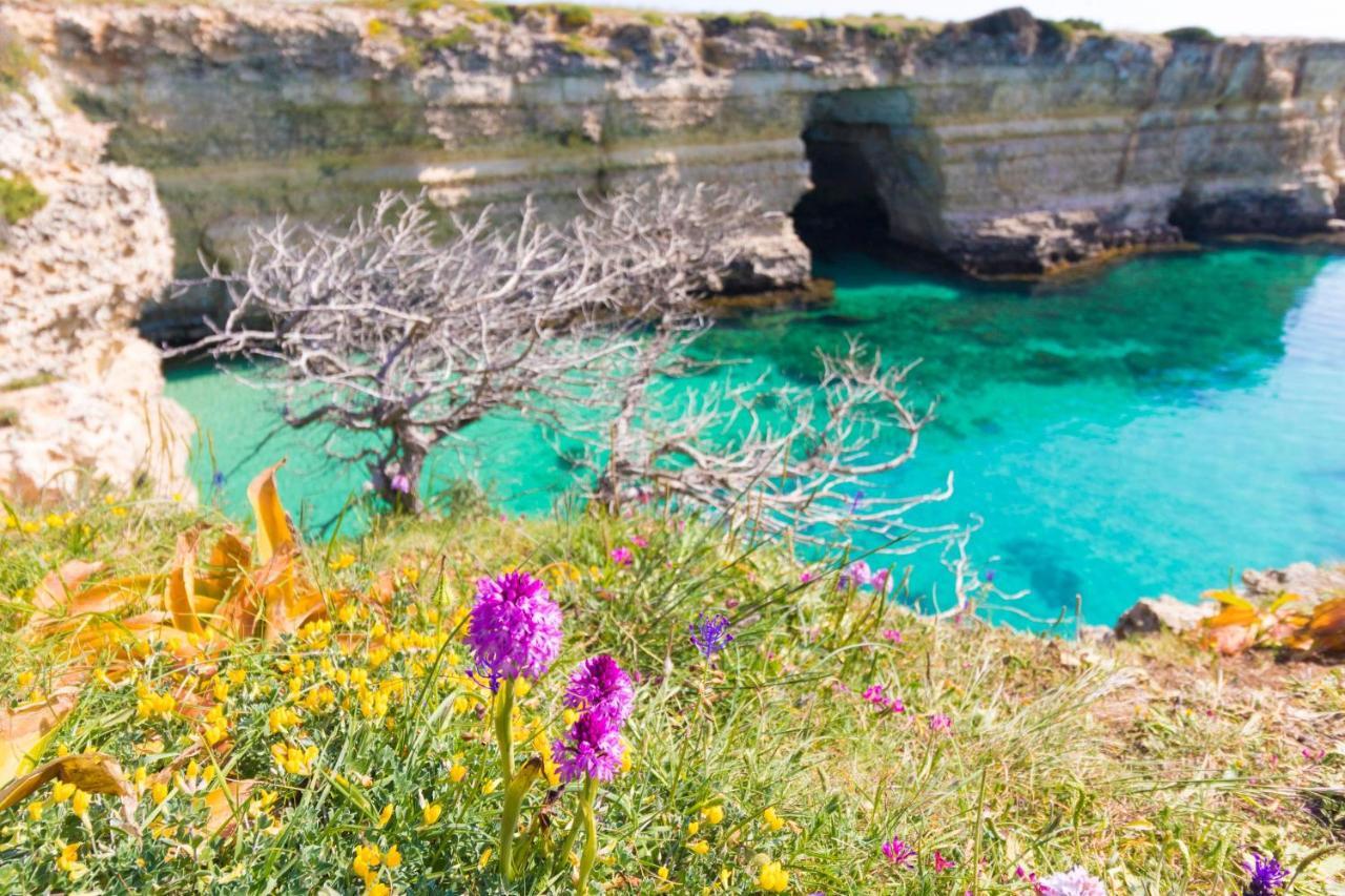 Casa Vacanze Frida In Salento Otranto Eksteriør billede